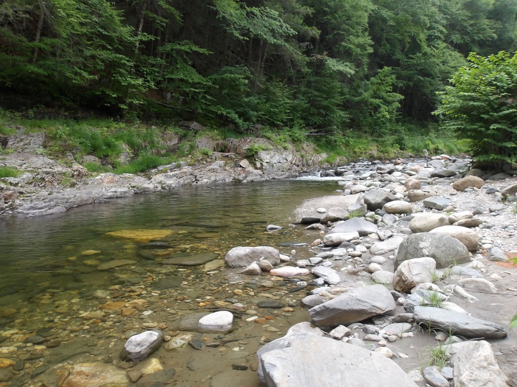 Clear shallow Rock River water flowing over smooth stones through a lush green Vermont forest in summer — Windham County near Newfane