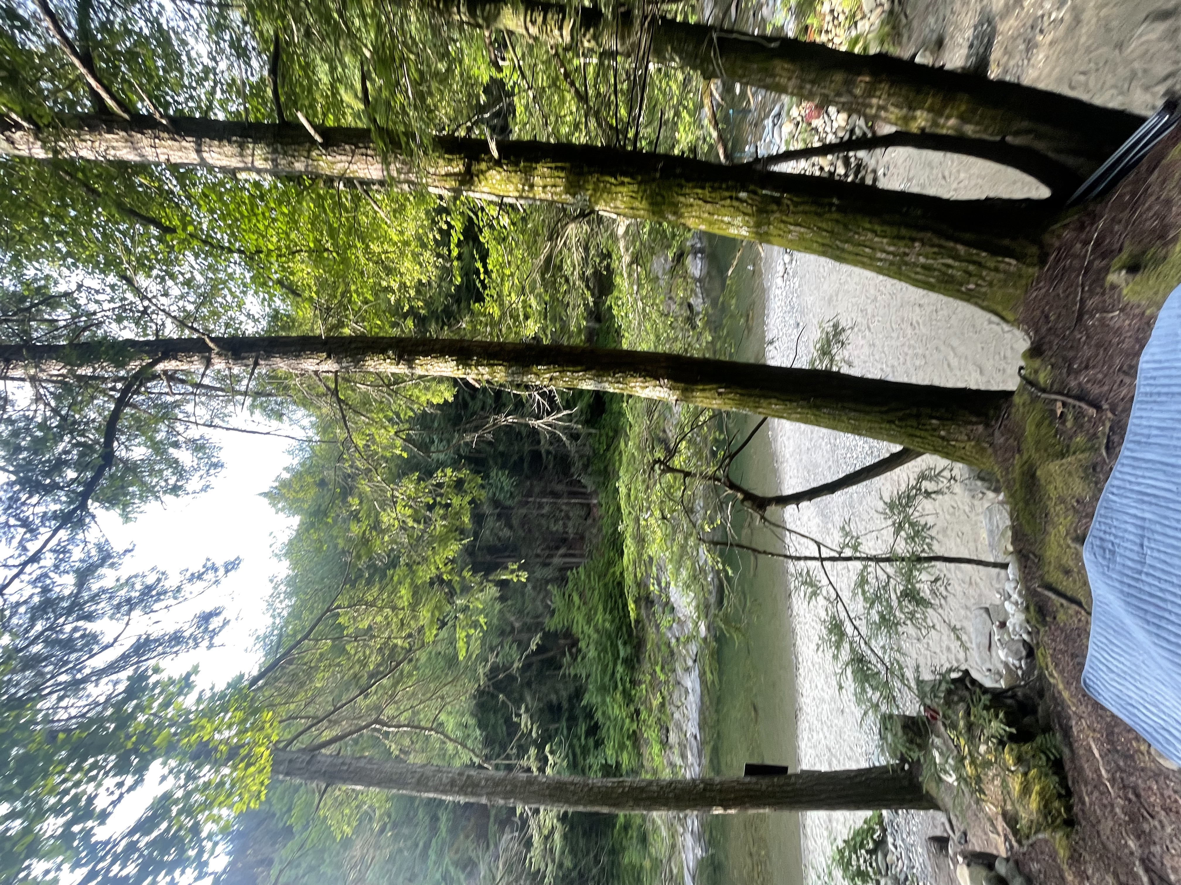 Rock River · Newfane VT