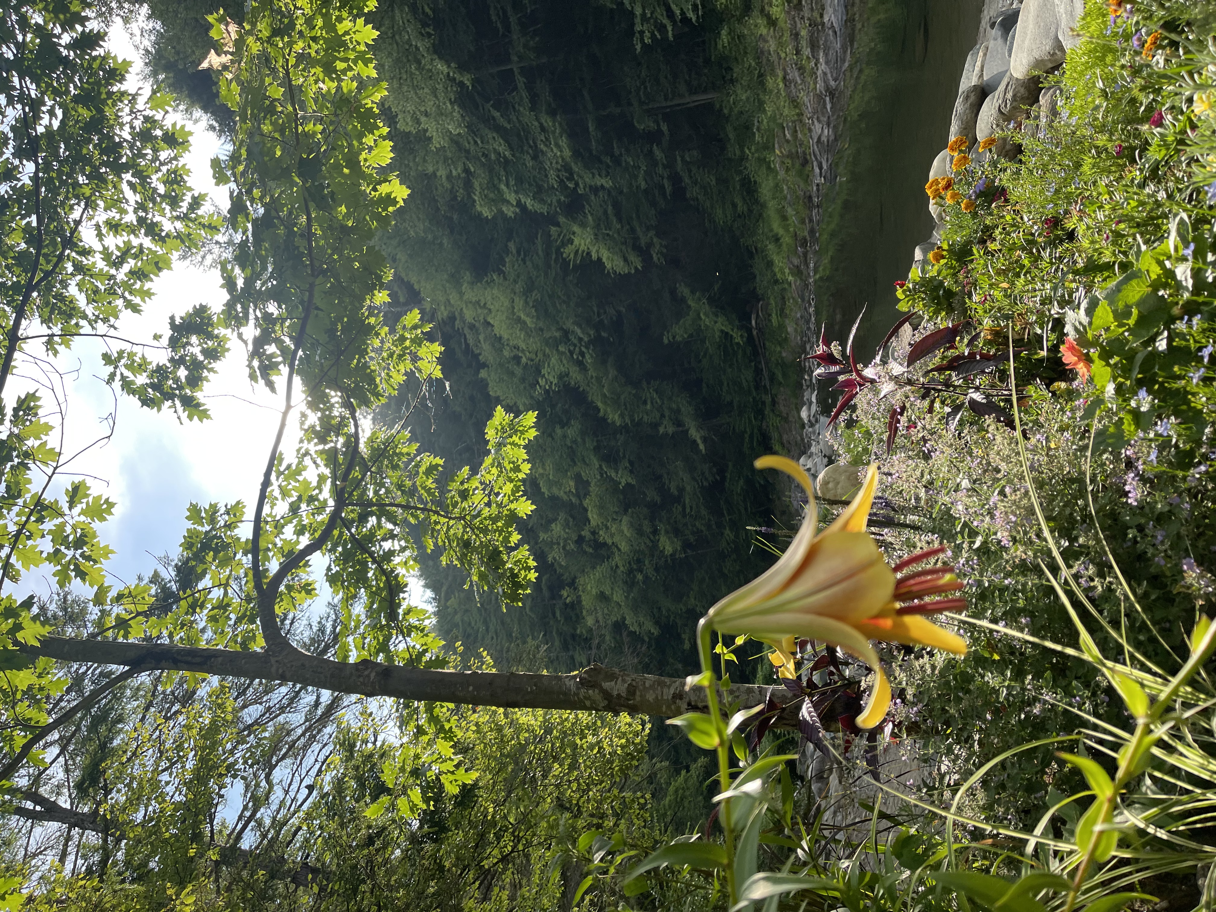 Rock River · Newfane VT