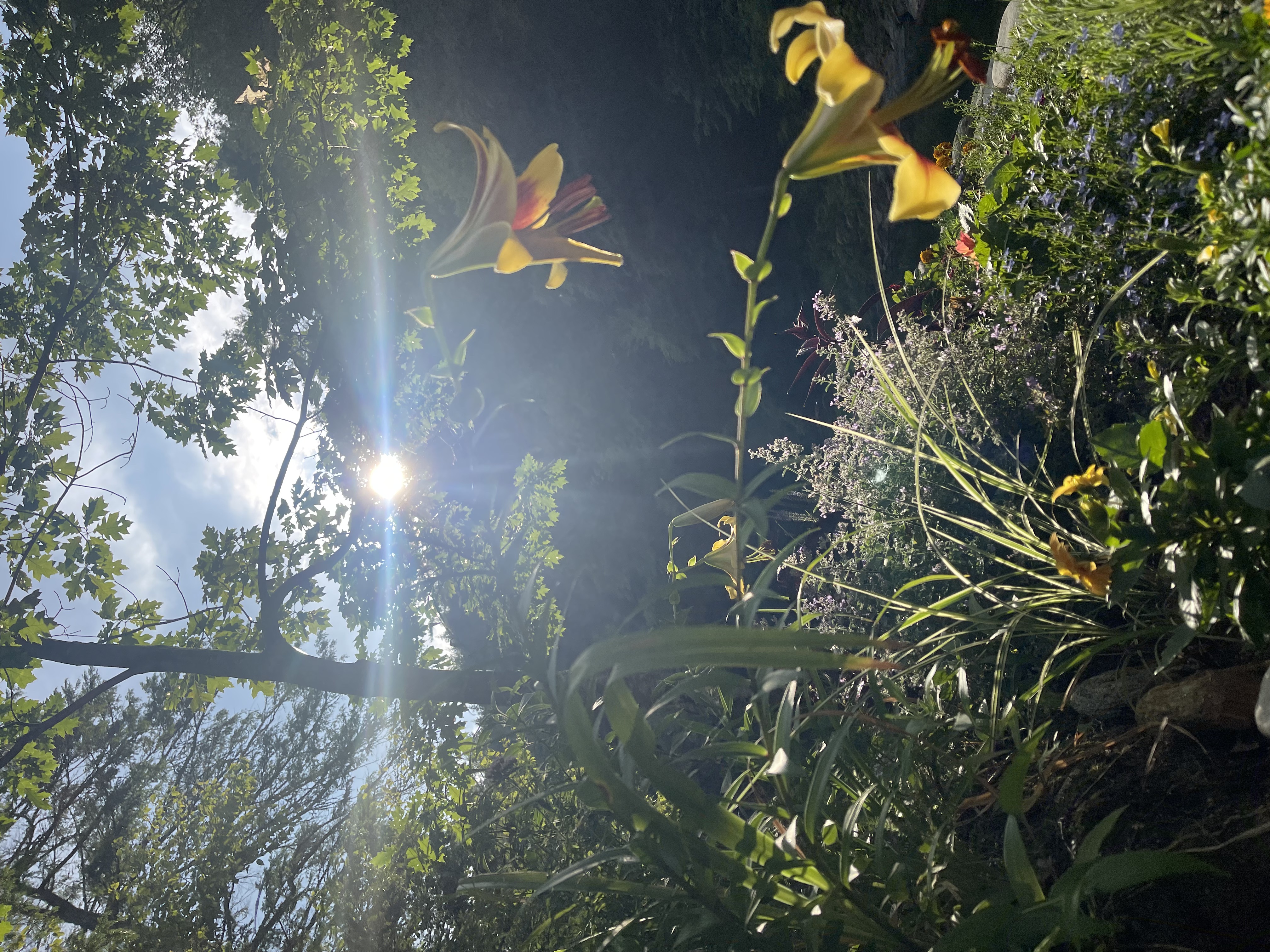 Rock River · Newfane VT