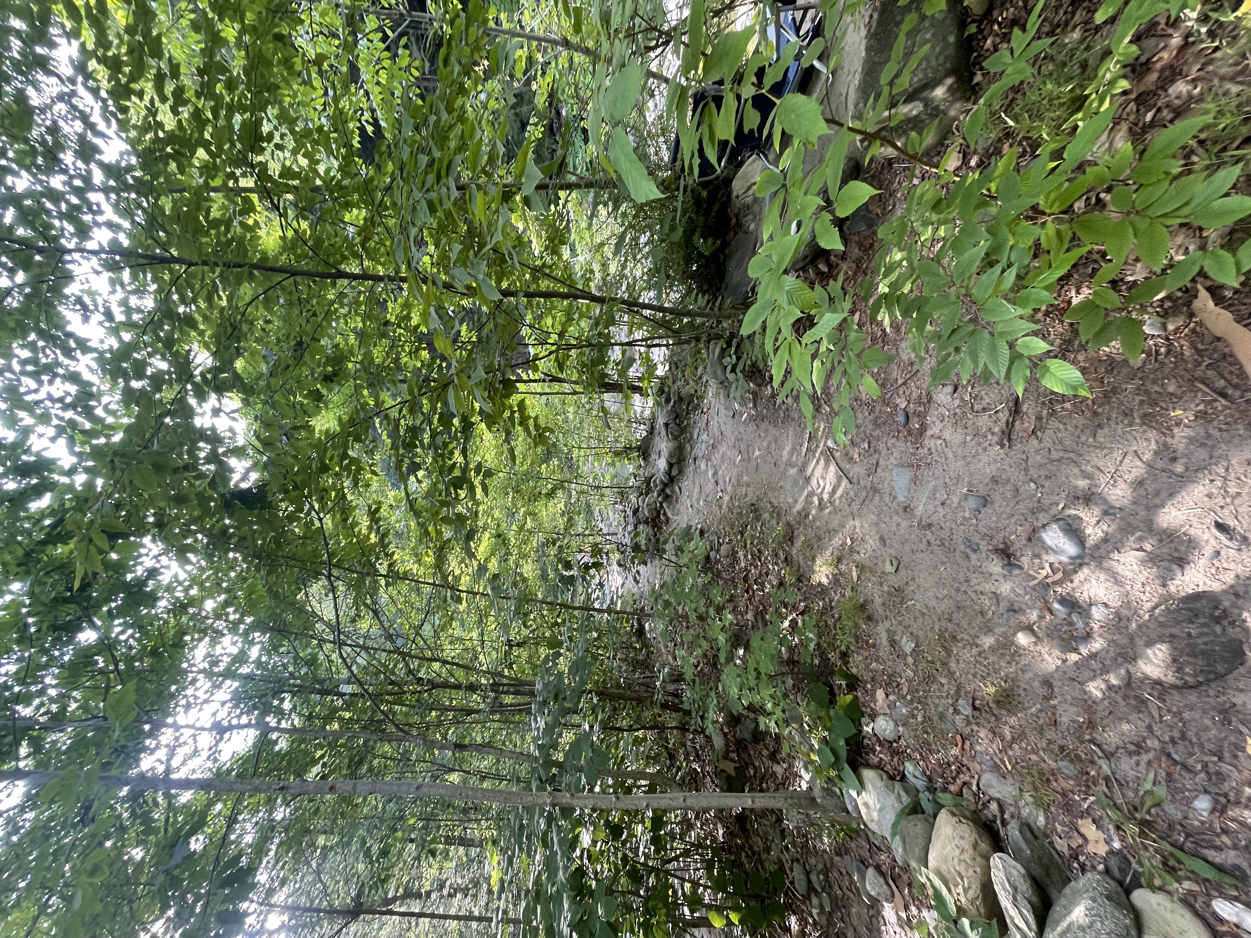 Rock River · Newfane VT